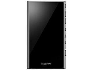 ���\�j�[ / SONY NW-A307 (H) [64GB �O���[]�y�f�W�^���I�[�f�B�I�v���[���[(DAP)�z�y���������z