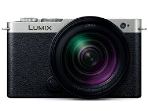 Panasonic / pi\jbN LUMIX DC-S9H-S {Y[YLbg [_[NVo[]yfW^Jzyz