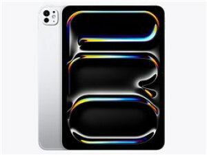 ���A�b�v�� / APPLE iPad Pro 11�C���` Wi-Fi+Cellular 2TB 2024�N�t���f�� MVW83J/A SIM�t���[ [�V���o�[]�y�^�u���b�gPC�z�y���������z