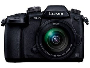 Panasonic / pi\jbN LUMIX DC-GH5M WY[YLbgyfW^Jzyz