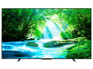 ����TVS REGZA REGZA 100Z770N [100�C���`]�y��^�Ɠd�z�y�����敪G�z�y�����s�ǑΉ��s�z�y���^�e���r�z