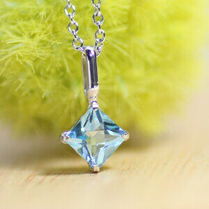 pt900 XCXu[gp[Y 4~ XNGA vZX `FXJbg y_ggbv