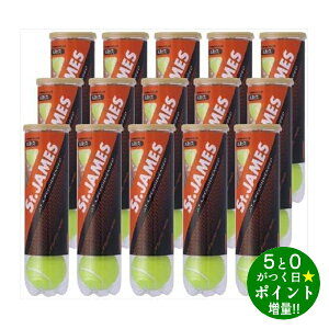 _bv ejX{[ 160 (4×15) Zbg St.JAMES ZgWF[X DUNLOPy]sz