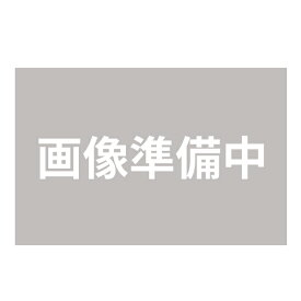 【4/20限定★P最大6倍+最大5000円OFFクーポン】即納 アラジン グラファイトグリル＆トースター 4枚焼き AGT-G13A(W) オーブントースター トースター パン焼き オーブン シンプル パン焼き機 パン焼き器 トースト キッチン用品 新生活