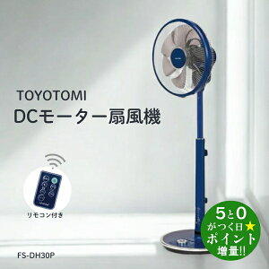 y9/5WN[|OKIő3100~OFFzTOYOTOMI gg~ FS-DH30P(A) u[ @ DC[^[ Rt