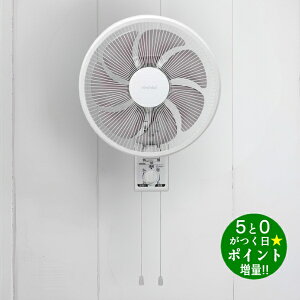 ő3000~CP{P3{II12/10gg~ @ AC[^[ Ǌ|@ J FW-3024 zCg TOYOTOMIy]sz