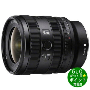 \j[ JY Y[Y \j[E}Egp FE 16-25mm F2.8 G SONYy]sz