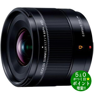 pi\jbN JY fW^J LEICA DG SUMMILUX 9F1.7 H-X09 Panasonicy]sz