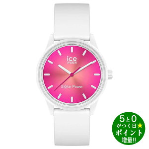 ACXEHb` rv v fB[X / 019031 ICE solar power ACX\[[ R[[t X[ VR xg Ice Watchy]sz