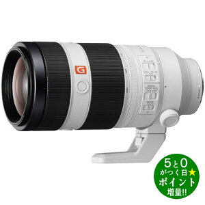 \j[ ]Y[Y \j[E}Egp tTCYΉ FE 100-400mm F4.5-5.6 GM OSS zCg SONYy]sz