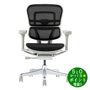 ։Ƌ ItBX`FA [^Cv @\ Ergohuman PRO2 EHP2-LAM-GF-BK O[t[×ubNy]sz