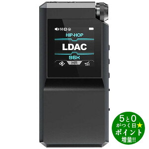 ���ő�3000�~CP�{P3�{�I�I3/5���t�B�[�I �A���v �w�b�h�z�� Bluetooth DAC�@�\�Ή� �n�C���] �w�b�h�z���A���v FIO-BTR17-B �u���b�N FiiO�y�]���s�z