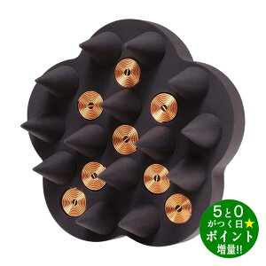 W[[RC uV Vv[uV }CNJg Ό GHA-G01 G-ZERO COILy]sz