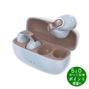 JVCPEbh Cz CXCz C[Jt^ h AvΉ Victor HA-NP1T-AN G^[iu[y]sz