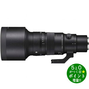 ���ő�3000�~CP�{P3�{�I�I4/20���V�O�} �J���������Y �P�œ_�����Y �\�j�[E�}�E���g�p 500mm F5.6 DG DN OS SIGMA�y�]���s�z
