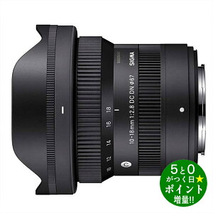 VO} JY Y[Y \j[E}Eg tTCYΉ 28-105mm F2.8 DG DN SIGMAy]sz