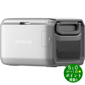 ���ő�3000�~CP�{P3�{�I�I8/20���G�R�t���[ �|�[�^�u���①�� �Ⓚ�① 35L GLACIER Classic EFGLACIER35L-JP-NBOX EcoFlow�y�]���s�z