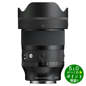 �V�O�} �J���������Y �P�œ_�����Y �\�j�[E�}�E���g�p 35mm F1.4 DG II SIGMA�y�]���s�z