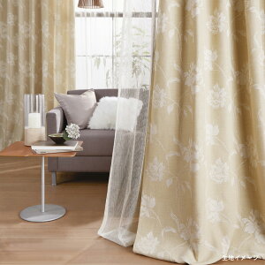 AX I[_[J[e I[ZXVACbgD ng(`ԈHȂ) ng J[e lh[v fUC[VCEGKg]yJ[e4150`5640×J