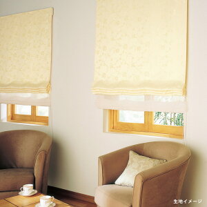 AX I[_[J[e I[ZX`ԈH X^CbVEF[uD 2{ J[e Ti[h[v Function[]yJ[e ŏ`1000×J@1810`2000mmz