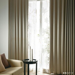 AX I[_[J[e I[ZXtbgD(`ԈHȂ) 1{ q_Ȃ J[e Gmh[v Function Ռ[v[]yJ[e ŏ`1440×J@2610`2800mmz