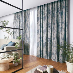 AX I[_[J[e I[ZXtbgD(`ԈHȂ) 1{ q_Ȃ J[e I_h[v Function Ռ[GKg]yJ[e7110`8600×J@2810`3000mm