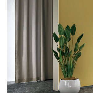 쓇DZR I[_[J[e FELTA(tF^)X^_[hD 3b(100mm) EGCgo[t h[v(n)J[e tbg ЊJFT7216`7231 h EHbVuyi7