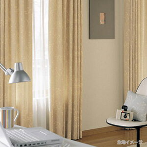 쓇DZR itto Cbg I[_[J[e `ԈHȂ h[vX^_[hD(EF[uHȂ) 2{q_ ЊJTT9082`9083 yJ[e2260`3000×J@3810`4000mm