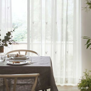 쓇DZR itto Cbg I[_[J[e `ԈHȂ [XX^_[hD(EF[uHȂ) 1.5{q_ ЊJTT9340 yJ[e7630`858×J@2410`2600mmz