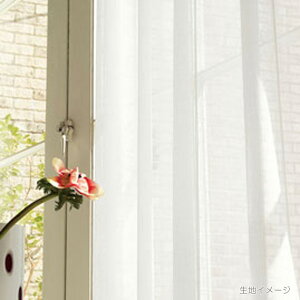 쓇DZR itto Cbg I[_[J[e `ԈHȂ [XX^_[hD(EF[uHȂ)RgEEGCge[vt 2{q_ JTT9355 hyJ[e5010`