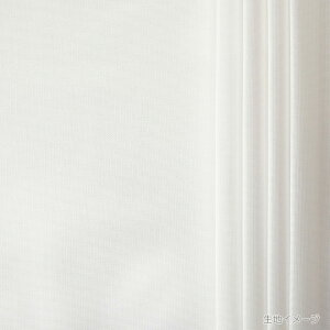 쓇DZR itto Cbg I[_[J[e `ԈHȂ [XX^_[hD(EF[uHȂ) 1.5{q_ JTT9429 hyJ[e5010`6000×J@3810`4000mmz