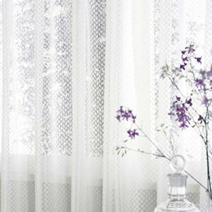 쓇DZR itto Cbg I[_[J[e `ԈHȂ [XX^_[hD(EF[uHȂ) 2.5{q_ JTT9439 hyJ[e510`1200×J@3810`4000mmz