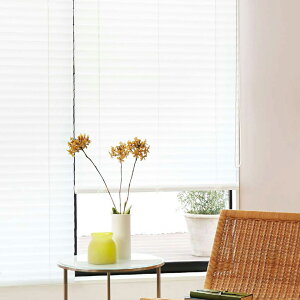 �u���C���h �j�`�x�C���N�I��50F �W���^�C�v ���_�[�e�[�v �R�[�h�����O���X�t�F�C�X(�h���E������) B2109�y���i��1005�`1200×���i����2210�`2400mm�z