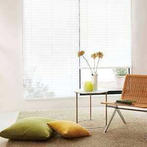 �u���C���h �j�`�x�C���N�I��50 �f�U�C���^�C�v(�x�[�X�X���b�g�F�t���X�g�O���XB2109) ���_�[�R�[�h ���[�v�R�[�h�����V���G�b�g B2201�`2208�y���i��1005�`1200×���i����1410�`1600mm�z