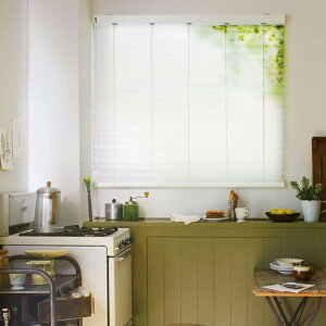 �u���C���h �j�`�x�C���N�I��50 �f�U�C���^�C�v(�x�[�X�X���b�g�F�t���X�g�O���XB2109) ���_�[�R�[�h �R�[�h�����O���[���O���[�� B2209�`2212�y���i��1605�`1800×���i����1410�`1600mm�z