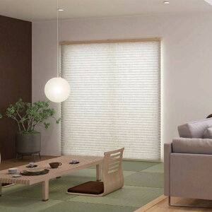 v[cXN[ I[_[TCYȂ VOX^C d(}`IRdl) TUj`xCM5124`5125 zD/eNX`[EfUCV[Y ߓx V[Nbg yi1605