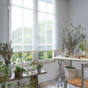 I[_[[XN[\tB[ d^Cv(VO) TCgd }`IRdl(ԊOʐM) AG EHbVuj`xC N8277`8279yi505`800×i4010`4500mmz