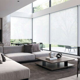 オーダーロールスクリーン▼ソフィー ミニマル電動タイプ(シングル) サイレント電動式 マルチIR仕様(赤外線通信) ルラン ウォッシャブル▼ニチベイ N8675〜8676【製品幅1605〜2000×製品高さ1210〜1600mm】