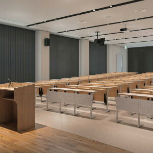 �Ɩ��p�^�e�^�u���C���h���\�[���[V �J�[�uN 100mm�Ѓ��[�o�[ �ЊJ�����j�`�x�C ���t�B�[�Ռ� A8849�`8857�y���i��1010�`1500×���i����4010�`4500mm�z