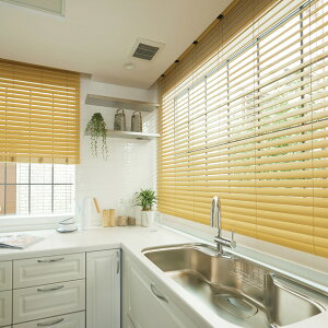 I[_[ ؐuChN[(蓮) h ϐ^Cv 50mmXbg _[R[h [vR[h [vR[h x[VbNFRj`xC NK036`037yi380`420×i1810`2000mmz