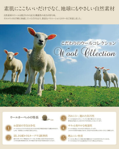【送料無料】アスワンオーダーカーペット▼江戸間6畳(261×352cm)ロック加工付きニューアスポーター▼ウールコレクションYESカーペットイエス国産リビングじゅうたん絨毯おしゃれ新生活安い激安北欧カフェホテルスタイル