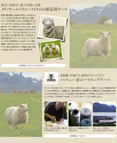 【送料無料】アスワンオーダーカーペット▼江戸間6畳(261×352cm)ロック加工付きニューアスポーター▼ウールコレクションYESカーペットイエス国産リビングじゅうたん絨毯おしゃれ新生活安い激安北欧カフェホテルスタイル