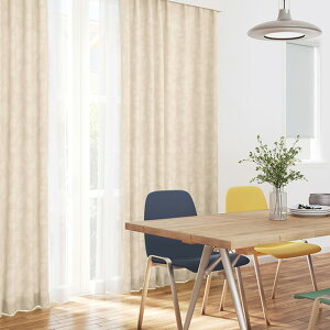 TQc AC I[_[J[e SSdl(X^_[h)1.5{q_ :ܕԂ AC2036`2037 h[vyJ[e393`490×J@181`200cmz