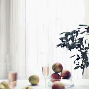 ���T���Q�c AC �I�[�_�[�J�[�e�� LP�d�l(�`�Ԉ�����H)��2�{�q�_ ��:�E�G�C�g�E�[���[���b�N ��AC2541 �V�A�[�E���[�X�y�J�[�e����351�`400×�J�������@81�`100cm�z