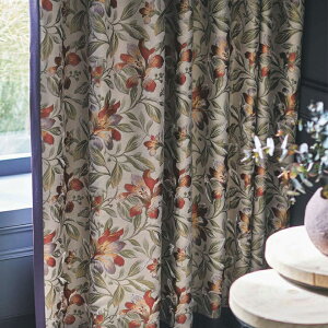 MODE S I[_[J[e D-8095CZXtbg 1.0{q_ȂX~mGCeAv_Nc [hGX h[vJ[eyJ[e3730`5060×J@2810`3000mmz