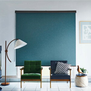 ロールスクリーン タチカワブラインド▼ラルク 遮光モヘアガイドレール▼チェーン操作遮光 ルフト遮光 RS-1464〜1469 オーダーサイズ ネジ止め式【製品幅801〜1200×製品高さ2501〜3000mm】