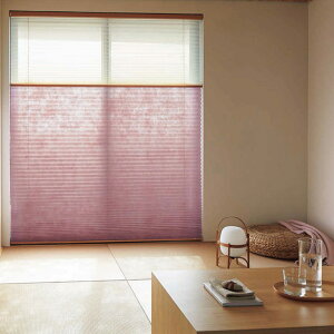 v[cXN[ 25 Rg×nJ cCX^C R[hXcC^Cv쁥TOSO(g[\[)y@:i495`800×i1010`1400mmz