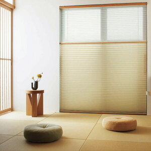 v[cXN[ 25 Rg VOX^C `F[^Cv쁥TOSO(g[\[)y@:i330`495×i610`1000mmz