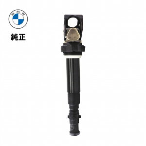 BMW �����i 5�V���[�Y E60 E61 �C�O�j�b�V�����R�C�� 12137841556 �_�C���N�g�R�C�� �R�C�� �u���~ �r�[�G���_�u�����[