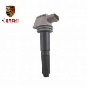 Porsche |VF DǕi COjbVRC {NX^[ Boxster 981 PC} Cayman 987 JCG Cayenne 20702 9A160210407 _CNgRC RC u~